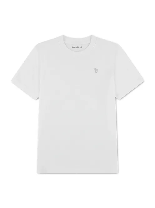Hovedbilde ABERCROMBIE ESSENTIAL T-SKJORTE