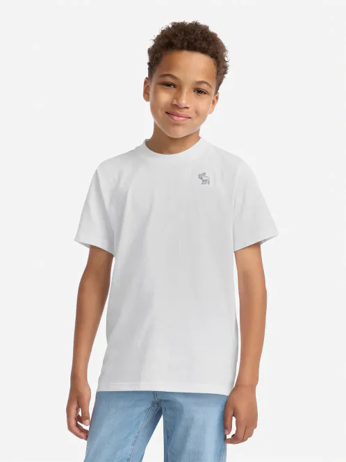 Hovedbilde ABERCROMBIE ESSENTIAL T-SKJORTE